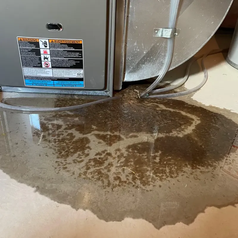 Appliance Leak Cleanup in Terrytown, LA